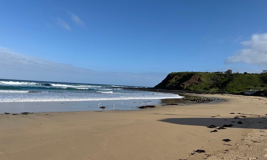 Image 14: Phillip Island and Moonlit Sanctuary Premium Day Tour Small group
