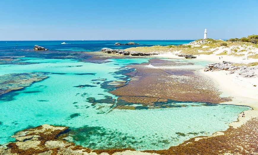 Image 5: Rottnest Island Fast Ferry from Hillarys Boat Harbour Including Bik...