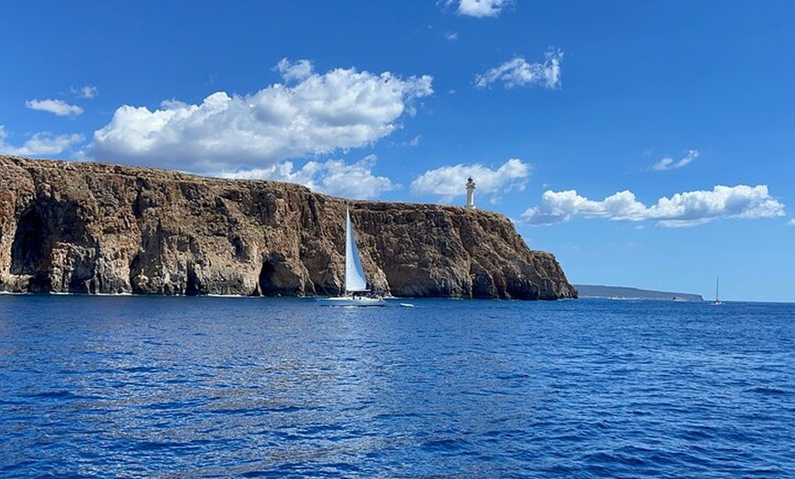 Image 8: CRYSTAL WATERS SEA EXPERIENCE, desde Figueretas