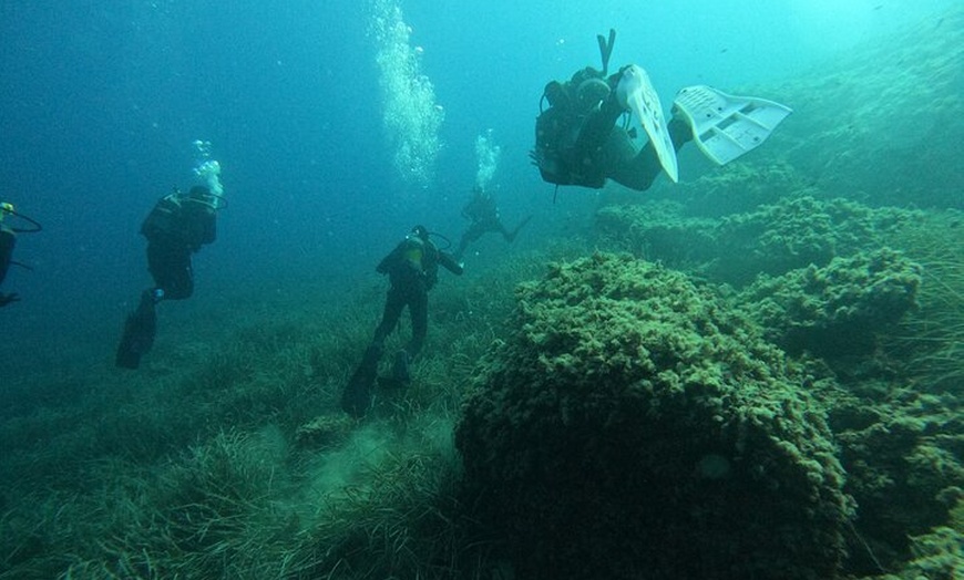 Image 4: Mallorca: Curso de Open Water Diver