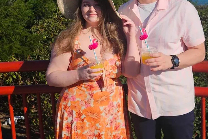 Painted Ladies Wine Country Tour