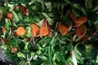 Haitian Cooking Class - Second Medium