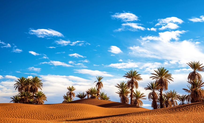 Image 6: ✈ MOROCCO | Marrakesh - Oasis et désert, parenthèse authentique à M...