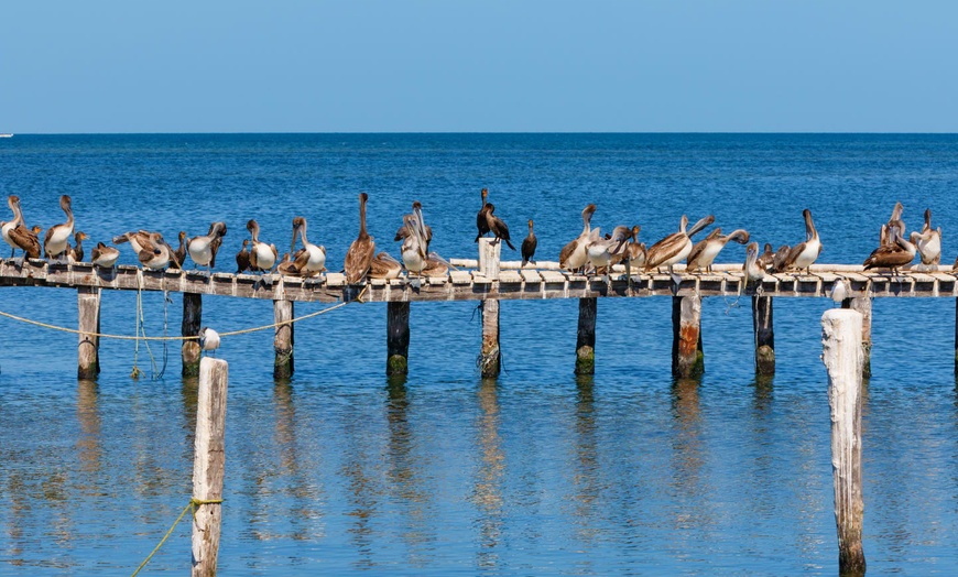 Image 10: ✈ MEXIQUE | Playa del Carmen - Balade yucatèque avec possibilité d'...