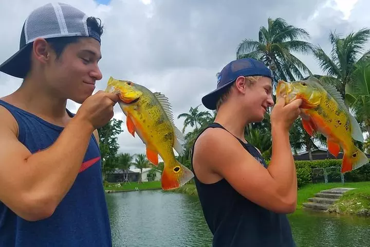 Peacock Bass Fishing Trips Near Miami Florida