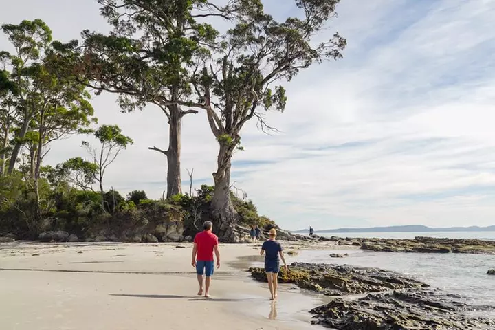 Bruny Island Food, Sightseeing, Guided Lighthouse Tour & Lunch