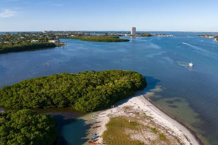 Sarasota Mangrove Tunnel Guided Kayak Adventure