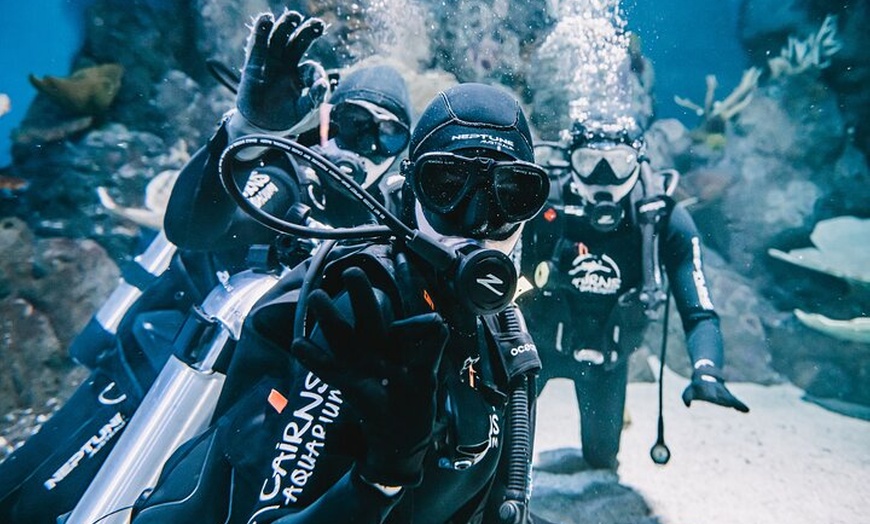 Image 4: Cairns Aquarium Dive with the Sharks