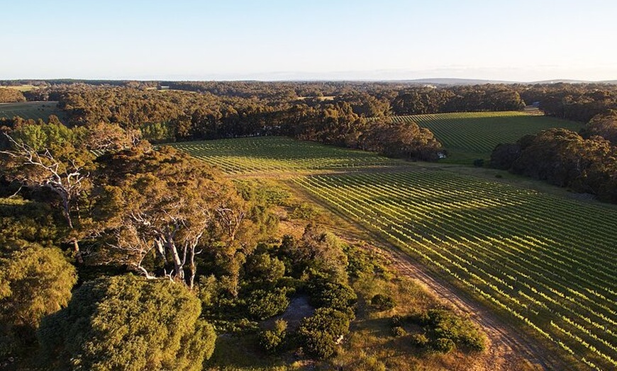 Image 6: Wine and Chocolate Bonbon Tasting in Margaret River