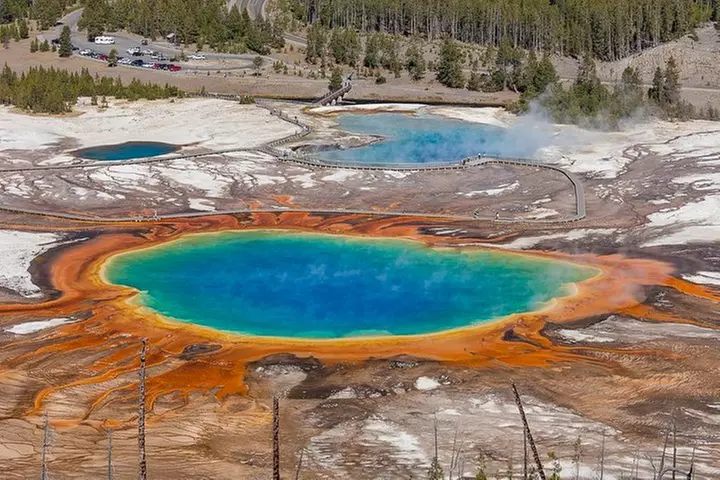Yellowstone Lower Loop Guided Tour from Cody, Wyoming - Primary Image