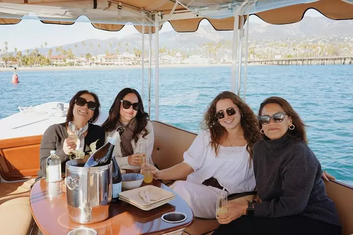 Private Harbor Cruise on Electric Boat in Santa Barbara