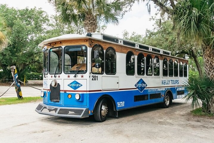 Savannah to Tybee Island with Dolphin Cruise