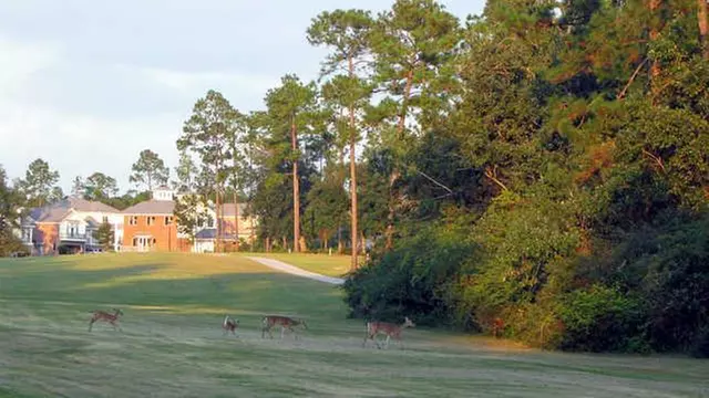 Online Booking - Round of Golf at Diamondhead Country Club - Cardin...