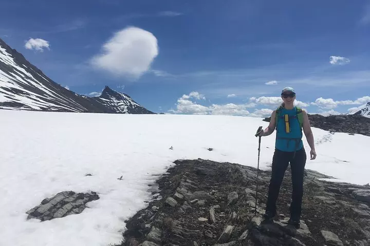 Wilcox Pass - Primary Image