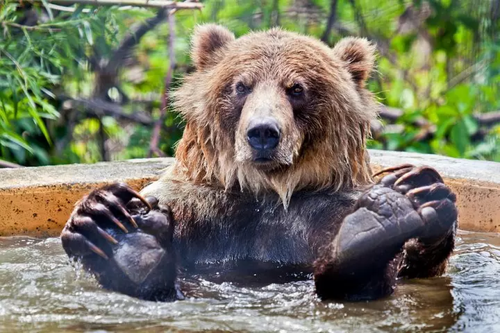Skip the Line: Kamloops BC Wildlife Park Admission Ticket - Primary Image