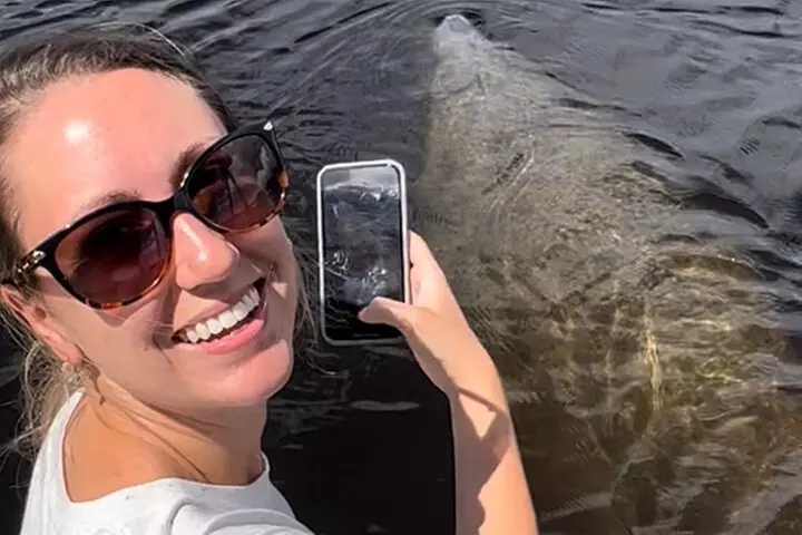 Manatee, Dolphin and 10,000 Islands Sunset Cruise!