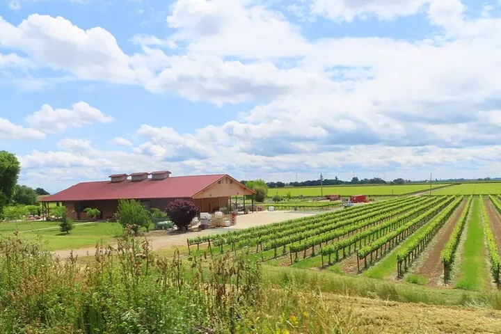 Driving in Delta's Wine Country: Private Self-Guided Audio Tour