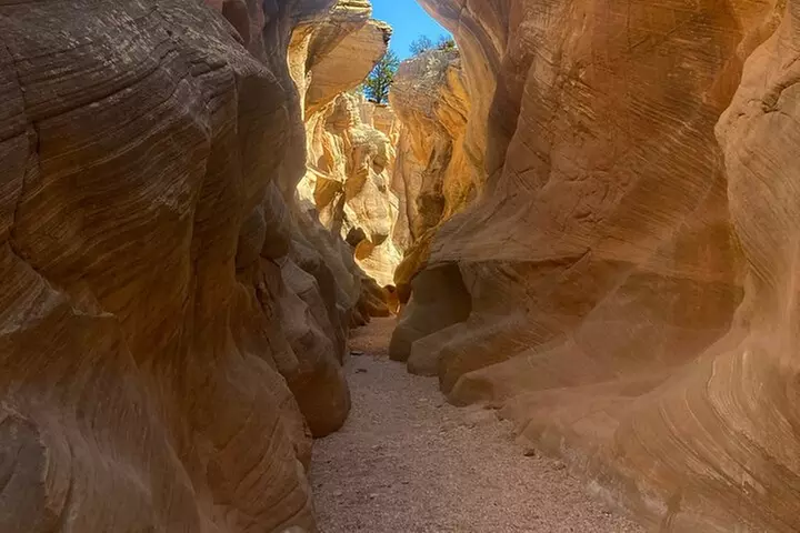 Slot Canyon 2hr tour at Willis Creek - Primary Image