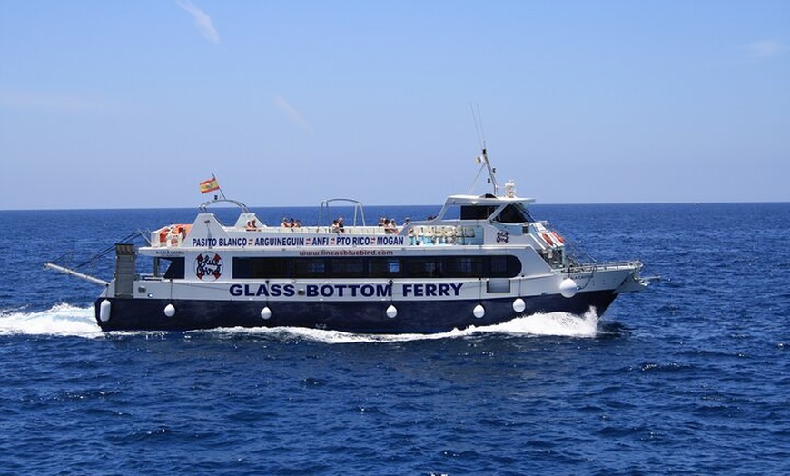 Image 9: Tour de Medio-Dia en Crucero-Observación de Delfines y Ballenas