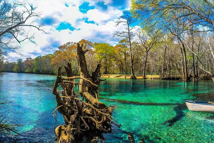 Cypress Springs Eco Adventure