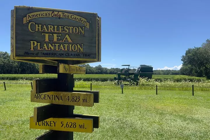 Wine Sippin'-Tea Drinkin'-Tree Huggin' Lowcountry Adventure
