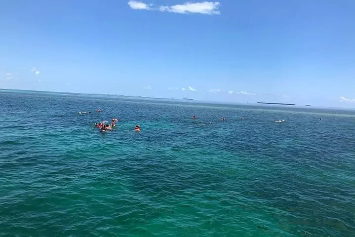 Key West Dolphin Watch and Snorkel Tour - Eco Adventure