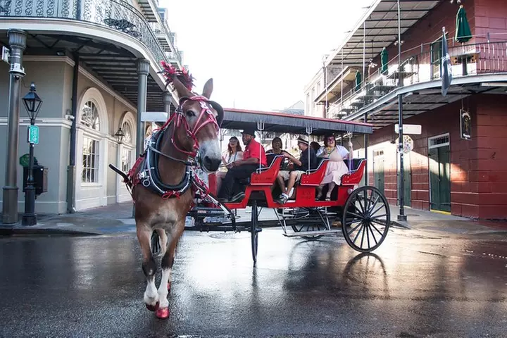 New Orleans French Quarter and More Carriage Ride