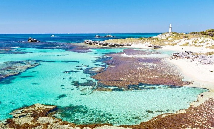 Image 1: Rottnest Island Bayseeker Day Trip from Fremantle