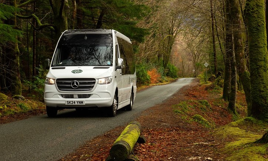 Image 8: Glasgow: Kelpies, St Andrews and Fife Adventure