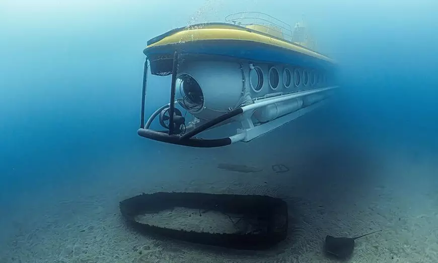 Image 15: Tour Submarino con Recogida en Hotel Tenerife Sur