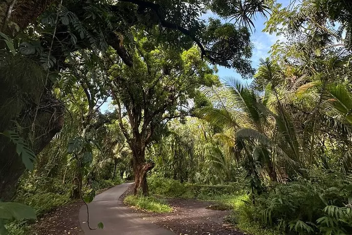 Secret Tide Pool Hike - Jungle & Coast - Private