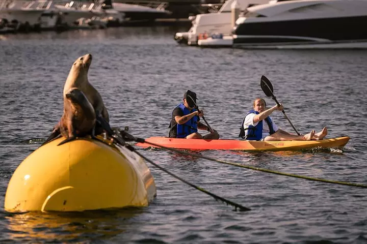 Tandem Kayak Rentals in Mission Bay