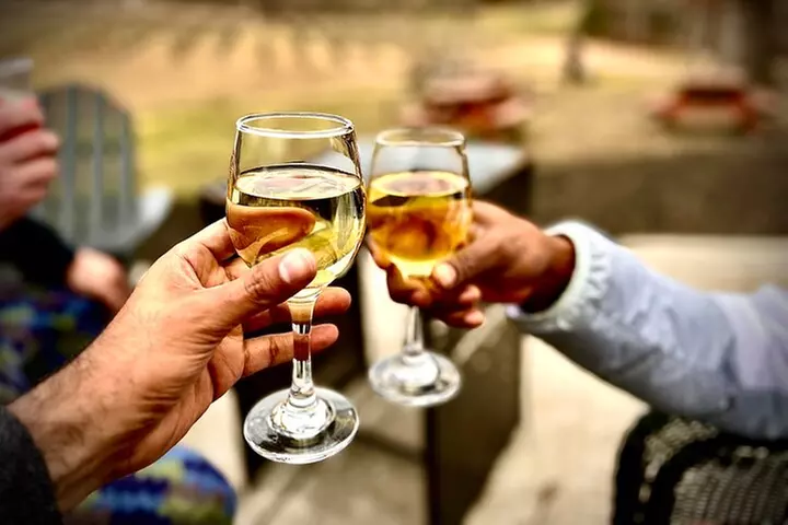 Elijay Hike w/ Waterfall & Wine Tasting Private Tour from ATL - Primary Image