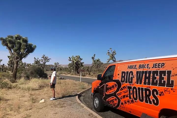 Joshua Tree National Park Driving Tour