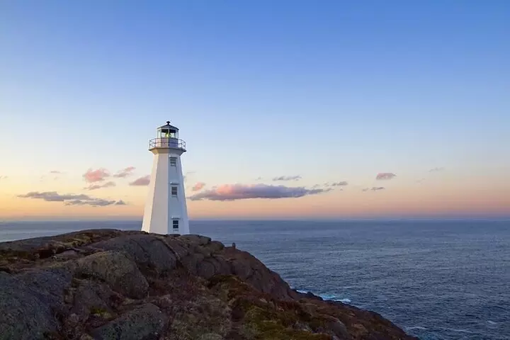 The Best of St. John's Private Walking Tour - Primary Image