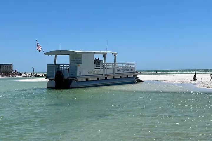 2 HR Dolphin Tour for 7 people