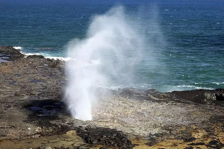 Oahu's Ultimate Tour: Dole, Turtle Snorkel, Pali Lookout & More