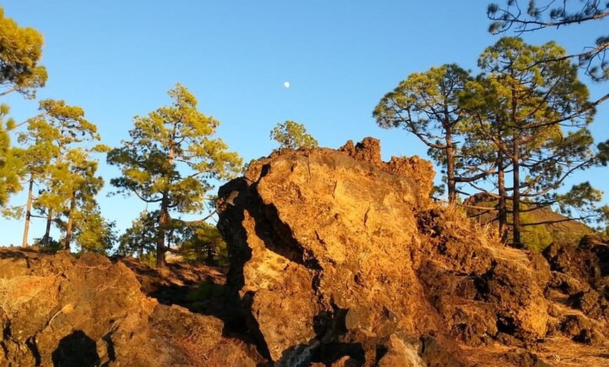 Image 13: Viajes en el tiempo entre los volcanes Trevejo y Chinyero en Tenerife