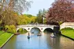 Oxford and Cambridge Universities Guided Day Trip from London - Image 6