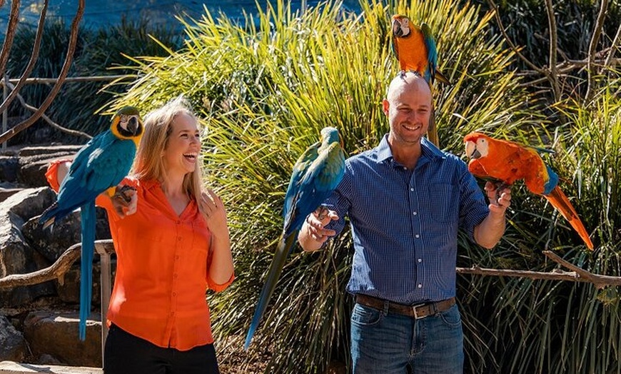 Image 1: Maleny Botanic Gardens Bird Aviary Experience Ticket