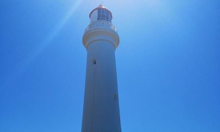 Image 3: Split Point Lighthouse Tours