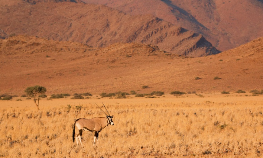 Image 9: ✈ KENIA | Diani Beach - Rundreise Diani Sea Resort 4* & Safari - Sa...