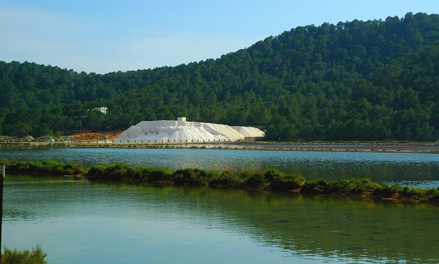 Image 2: Ibiza Vuelta Isla en Bus con visita a Mercadillo Hippie
