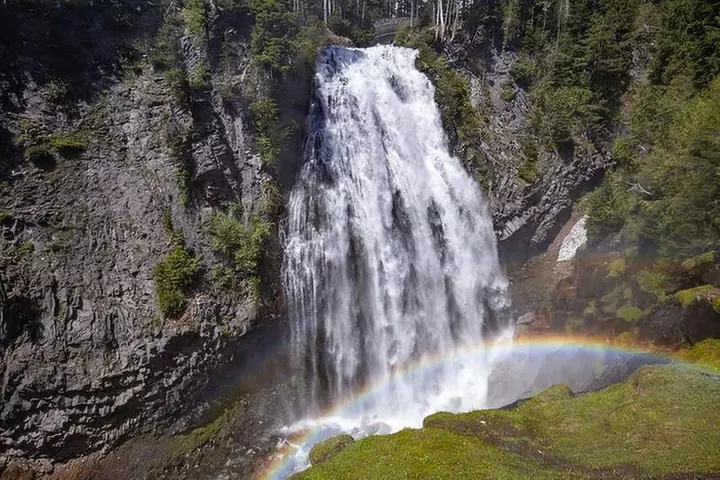 Best of Mount Rainier National Park from Seattle: All-Inclusive Sma...