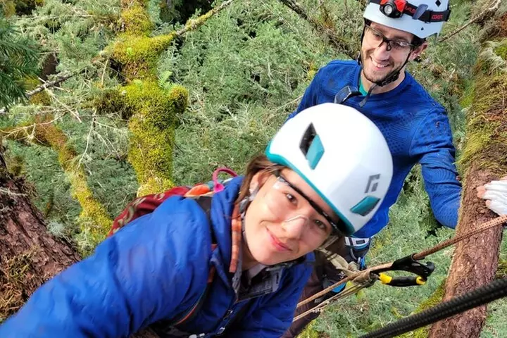 Old-Growth Tree Climbing at Silver Falls State Park