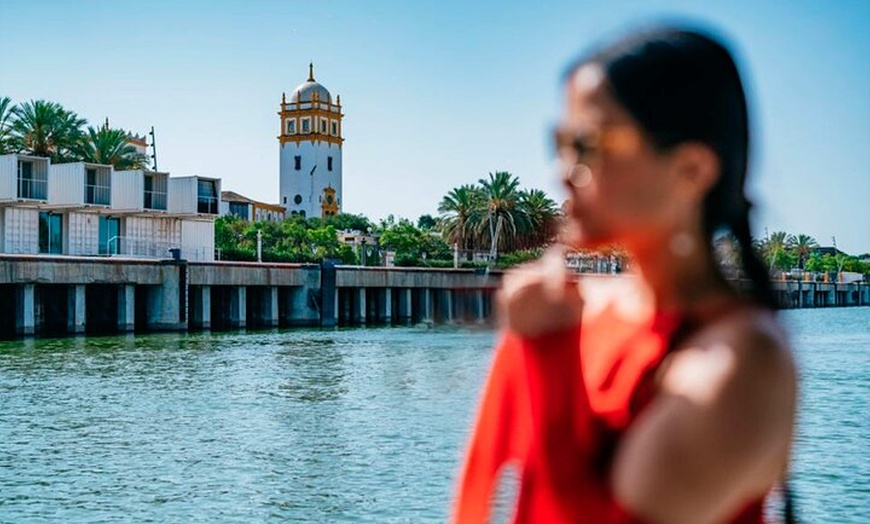 Image 6: Tour a pie por Sevilla, Museo Flamenco y crucero por el Guadalquivir