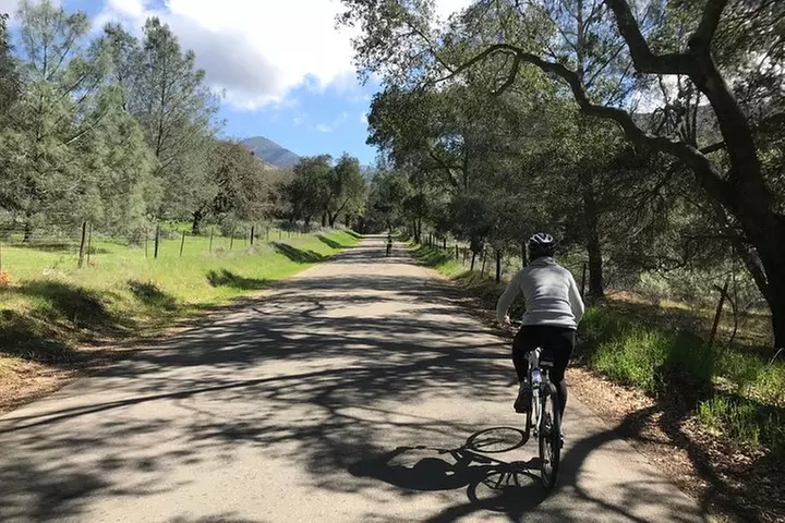 Wine Country Half-Day Bike Tour from Solvang - w/o Lunch - Primary Image