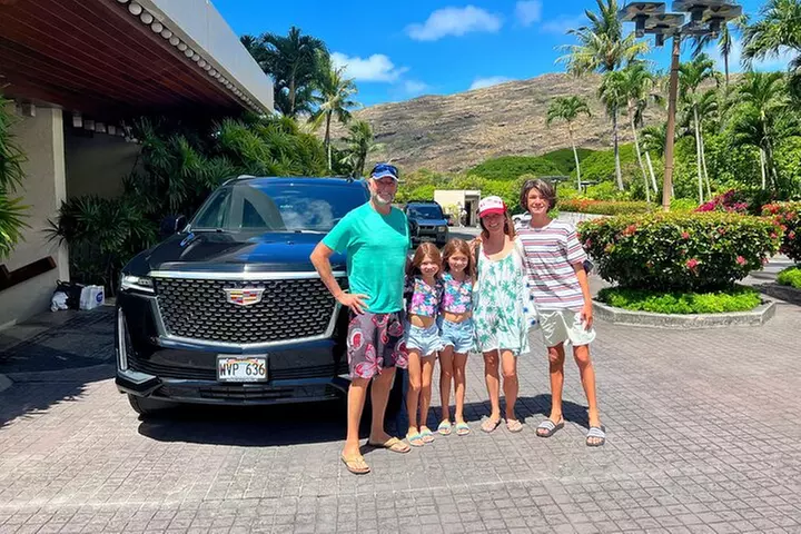 One-Way VIP Transfer: Honolulu Airport, Waikiki, Cruise Port