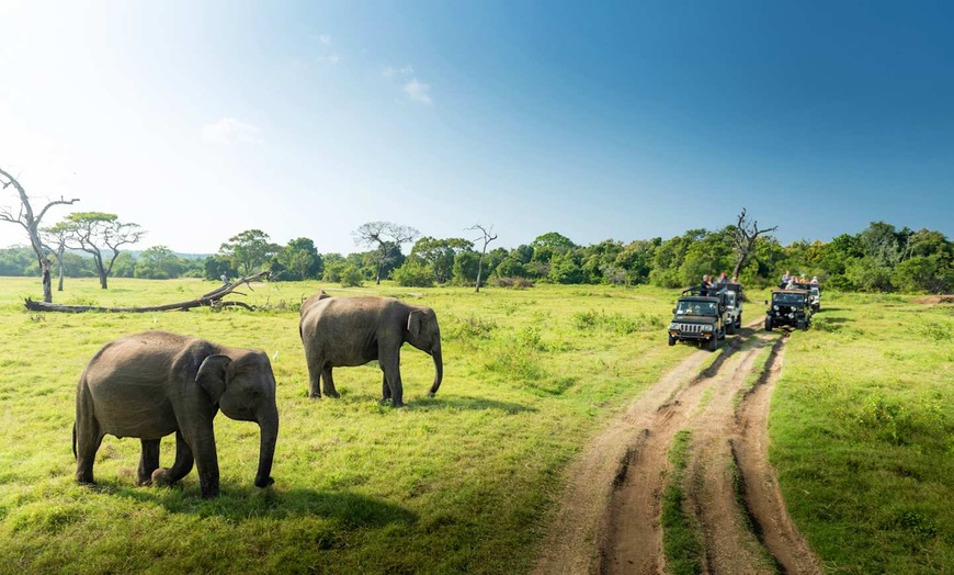 Image 31: ✈ INDIA | From Delhi to Colombo - Enchanting Getaways in India and ...