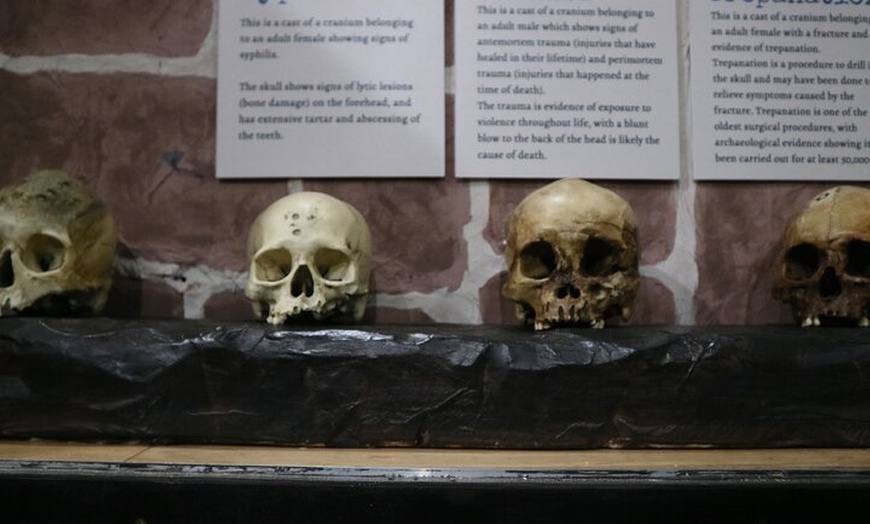 Image 6: Admission Ticket to Sick To Death in Chester